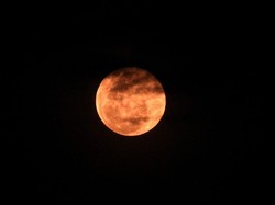 Jangan Terlewat! Bulan Purnama Pink Hiasi Langit Malam Ini
