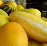 5 Manfaat Timun Suri, Buah Khas Bulan Puasa