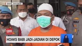 VIDEO: Hoaks Babi Jadi-Jadian Di Depok