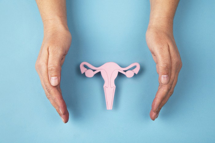 Female reproductive system made of paper and hands isolated on blue background