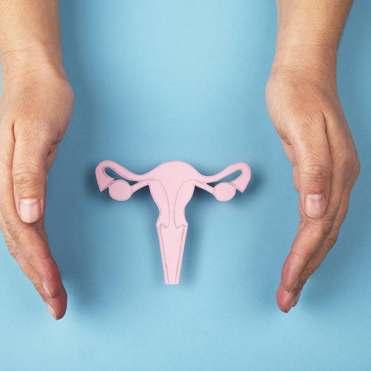 Ilustrasi Kanker Serviks Female reproductive system made of paper and hands isolated on blue background