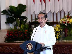 Kronologi Pidato Jokowi soal Bipang Ambawang hingga Tuai Kontroversi
