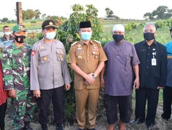 Rencana Bupati Kebumen Kembangkan Perkebunan hingga Kawasan Industri