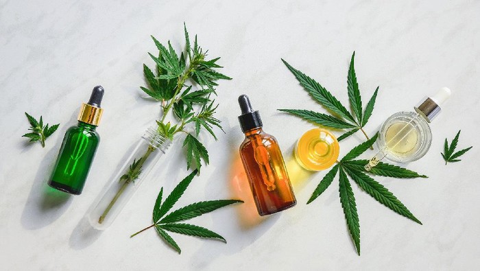 Mengenal CBD Oil, Ekstrak Ganja Andalan Selebriti Hollywood Cegah Pegal Kaki