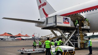 Vaksin dari China dan Kerbau India Dominasi Impor RI