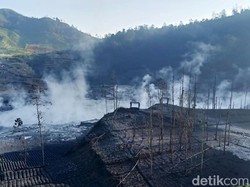 Erupsi Kawah Sileri Dieng, 8 Ha Lahan Pertanian Terdampak