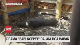 img-title VIDEO: Drama 'Babi Ngepet' Dalam Tiga Babak