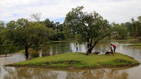 Danau Baru Kembali Terbentuk di Kupang Usai Badai Seroja