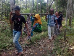 Pilu, Ibu Hamil Ditandu Lewati Hutan Hingga Bayi Kembarnya Meninggal