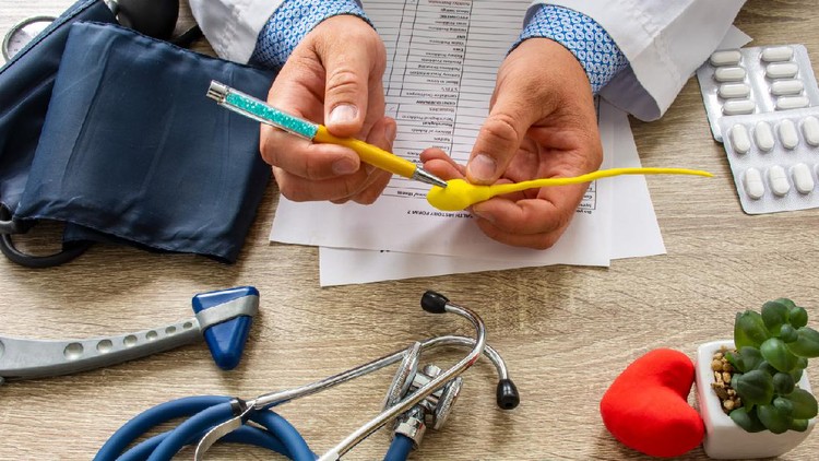 ilustrasi sperma Doctor during consultation held in his hand and shows patient anatomical model of male sperm. Counseling of men and couples about male infertility, sperm pathology, impossibility to get pregnant