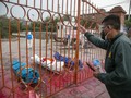 Nepal Khawatir Bernasib Mirip India Akibat Lonjakan Corona