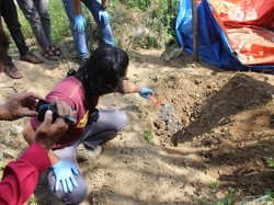 6 Orang Diperiksa Terkait Pembantaian Anjing di Pacitan