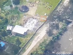 Berita Papua Hari Ini: SD Dibakar, Teroris KKB Dikejar