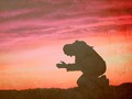 Kisah Sa'ad bin Abi Waqqash, Antara Anak Panah, Doa dan Surga