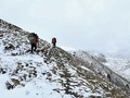 Dua Pendaki Tewas di Gunung Everest
