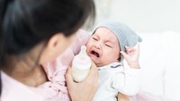 Terpopuler: Menyapih Anak Tanpa Rewel - Kartu Natal Keluarga Pangeran William