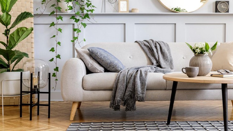 Tanaman hias di ruang tamu Stylish scandinavian living room interior with design sofa, furniture, tropical plants and decoration. Grey wall. Neutral concept. Template.