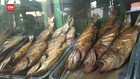 VIDEO: Menyantap Ikan Asap Khas Pantura Untuk Berbuka Puasa