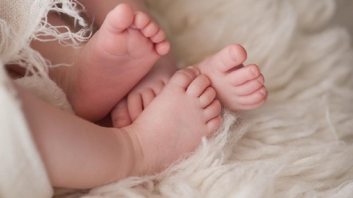Bayi kembar