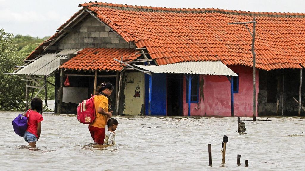 Banjir Rendam Ratusan Rumah Warga di Patrol Indramayu