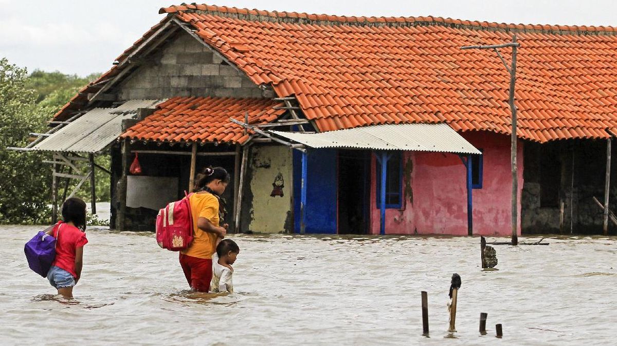 Banjir Rendam Ratusan Rumah Warga di Patrol Indramayu