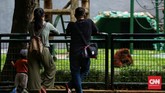 FOTO: Nostalgia Piknik di Ragunan Taman Margasatwa Ragunan bisa kembali dikunjungi. Namun, wisatawan harus melakukan pemesanan tiket secara online sebelum datang.