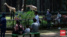 FOTO: Nostalgia Piknik di Ragunan
