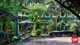 FOTO: Nostalgia Piknik di Ragunan Taman Margasatwa Ragunan bisa kembali dikunjungi. Namun, wisatawan harus melakukan pemesanan tiket secara online sebelum datang.