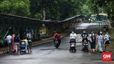 FOTO: Nostalgia Piknik di Ragunan Taman Margasatwa Ragunan bisa kembali dikunjungi. Namun, wisatawan harus melakukan pemesanan tiket secara online sebelum datang.