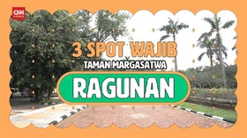 VIDEO: Wisata Virtual ke Tiga Spot Favorit di Ragunan