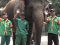 VIDEO: Kisah Kocak Para Penjaga Gajah di Ragunan