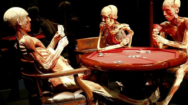 FOTO: Body Worlds, Eksplorasi Interaktif Tubuh Manusia