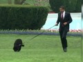 VIDEO: Bo, Anjing Keluarga Obama Meninggal Karena Kanker