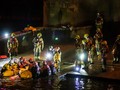 FOTO: Misi Evakuasi Paus Tombak Terdampar di Sungai Thames