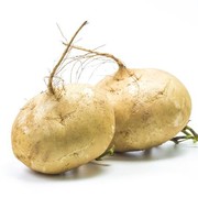 Manfaat Bengkuang untuk Kesehatan Tubuh