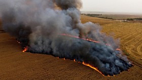 Meluncur dari Gaza, Balon Api Picu 4 Kebakaran Lahan Israel
