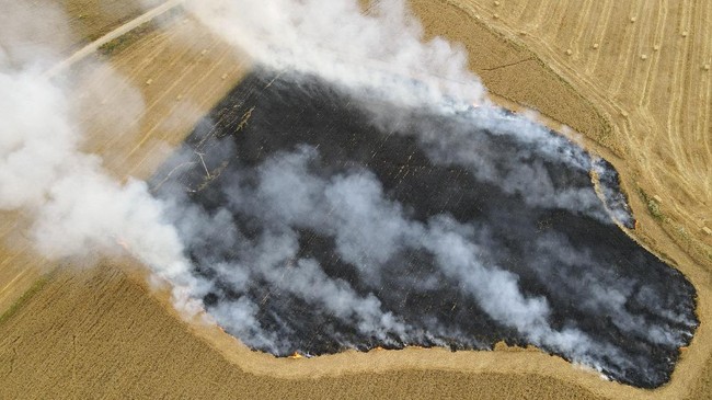 FOTO: Warga Palestina Gempur Israel dengan Balon Api