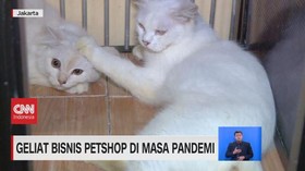 VIDEO: Geliat Bisnis Petshop di Masa Pandemi