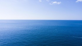 Ilmuwan Temukan Siput Laut Mirip Pisang