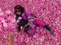 FOTO: Kisah Pilu Petani Lembah Mawar Maroko
