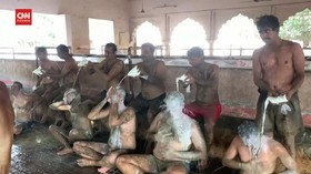 VIDEO: Warga India Klaim Kotoran Sapi Bisa Tangkal Corona
