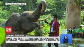 VIDEO: Merasakan Pengalaman Seru Menjadi Pengasuh Satwa