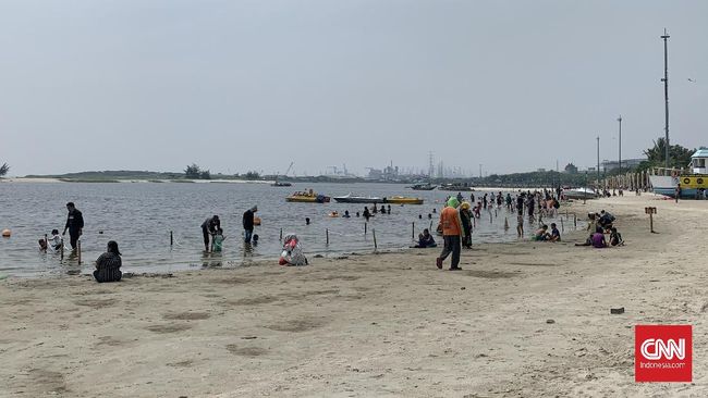 BMKG Ungkap Potensi Tsunami Selatan Jawa Bisa Sampai Ancol - Vimarsana News