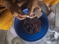 Mercon Maut di Kebumen, Korban Buat Petasan Sambil Merokok