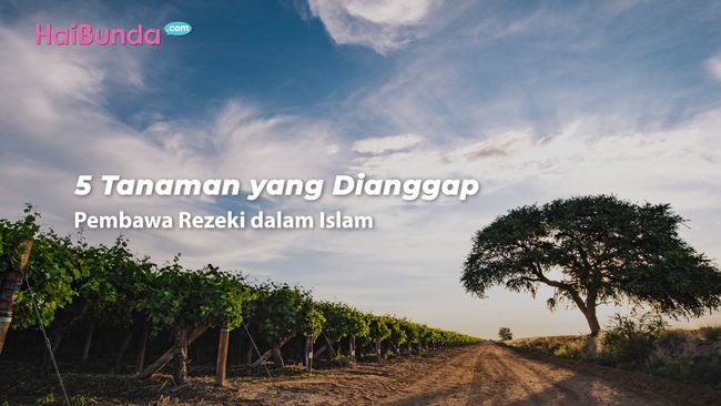 5 Tanaman  yang Dianggap Pembawa  Rezeki  dalam Islam 