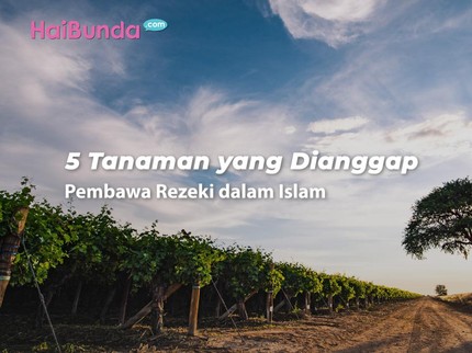 5 Tanaman yang Dianggap Pembawa Rezeki dalam Islam