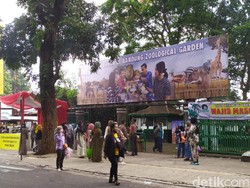 Bandung Zoo Diserbu Ribuan Turis Hari Ini