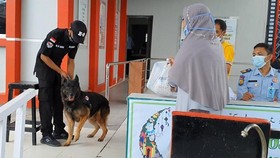 Anjing Pelacak Jaga Rutan Makassar Cegah Narkoba Masuk