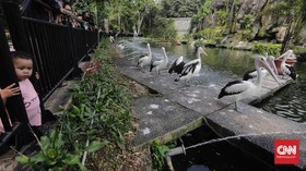 Anak-anak di Bawah 12 Tahun Boleh Masuk Tempat Wisata