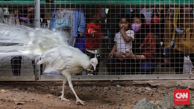FOTO: Menyerbu Ancol dan Ragunan di Hari Kedua Lebaran
